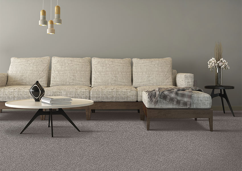 gray carpet in living room with vintage decor